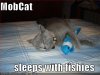 funny-pictures-mobcat-sleeps-with-fish.jpg