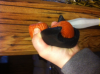 bat ax squish.png