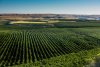 boulderGlen_-_North_Orchards.jpg