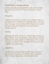 Adrien's field notes(2).png