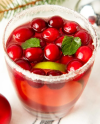 cranberry punch.png