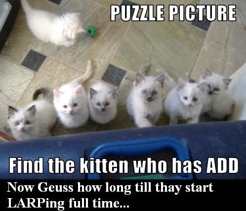 funny-pictures-one-kitten-has-add.jpg