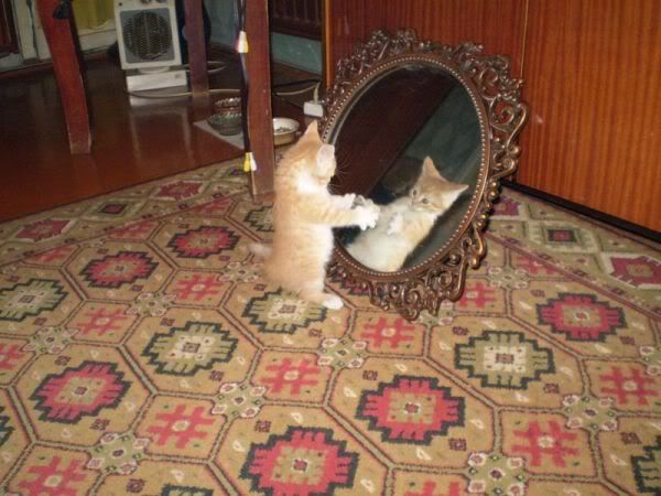In_The_Mirror.jpg