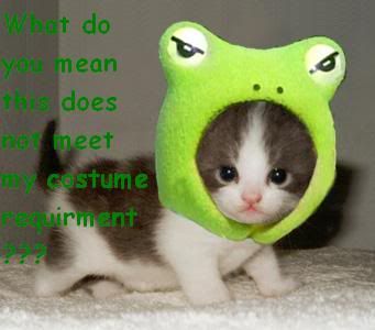 cutest_little_kitten_and_frog_t520.jpg