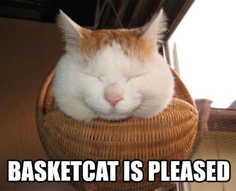 basketcat.jpg