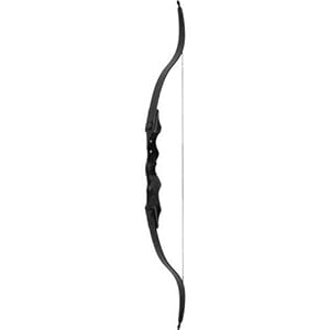 316Kl2OVr9L._SL500_AA300_.jpg