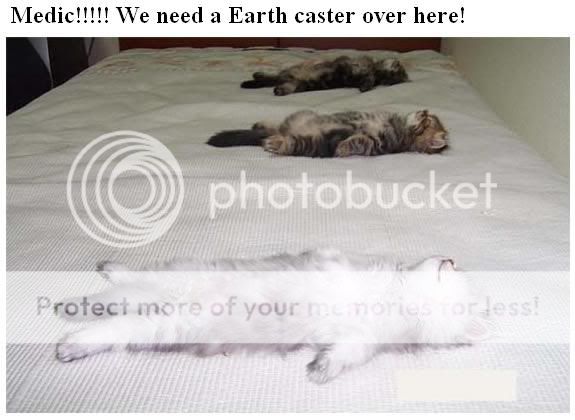 cat-speed-bumps-sleeping-kittens-hu.jpg