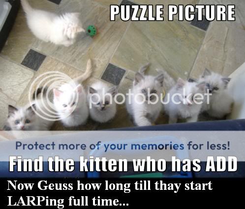 funny-pictures-one-kitten-has-add.jpg