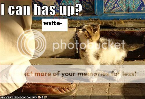 funny-pictures-kitten-wants-elev-1.jpg